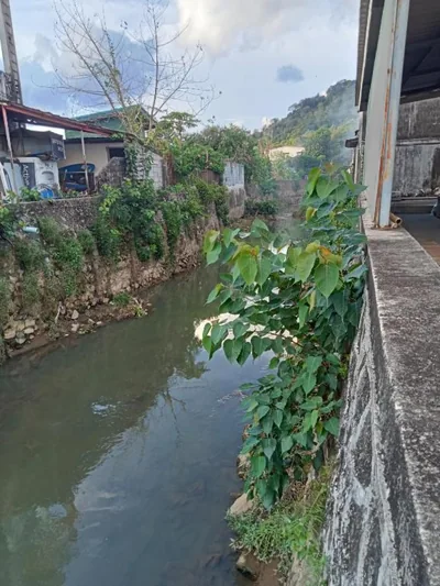 Suksabai Hotel Phuket – Foto 11